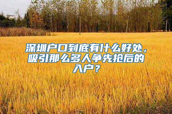 深圳户口到底有什么好处，吸引那么多人争先抢后的入户？