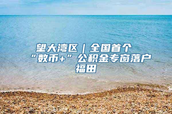 瞭望大湾区｜全国首个“数币+”公积金专窗落户福田