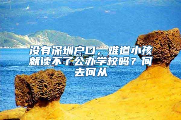 没有深圳户口，难道小孩就读不了公办学校吗？何去何从