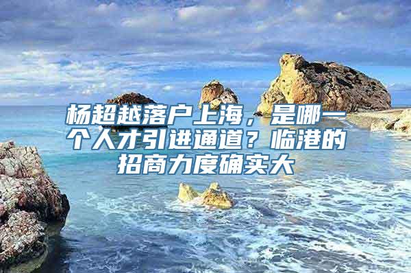 杨超越落户上海，是哪一个人才引进通道？临港的招商力度确实大