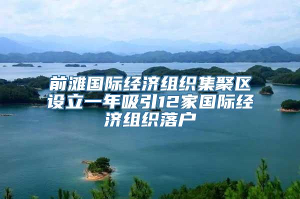 前滩国际经济组织集聚区设立一年吸引12家国际经济组织落户