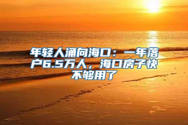 年轻人涌向海口：一年落户6.5万人，海口房子快不够用了