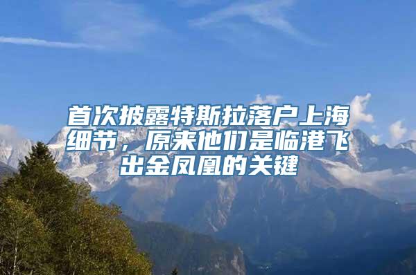 首次披露特斯拉落户上海细节，原来他们是临港飞出金凤凰的关键