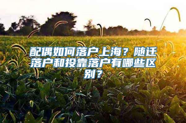 配偶如何落户上海？随迁落户和投靠落户有哪些区别？