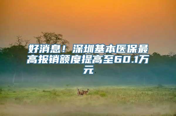 好消息！深圳基本医保最高报销额度提高至60.1万元