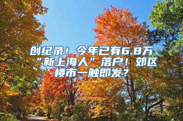 创纪录！今年已有6.8万“新上海人”落户！郊区楼市一触即发？