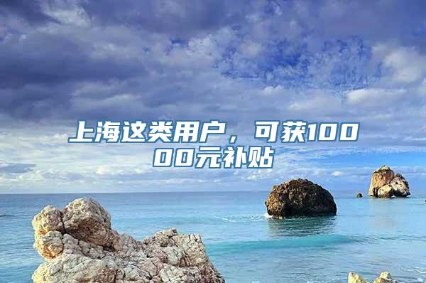 上海这类用户，可获10000元补贴