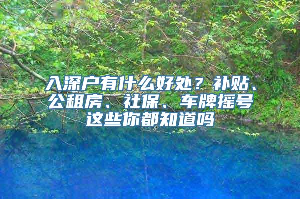 入深户有什么好处？补贴、公租房、社保、车牌摇号这些你都知道吗