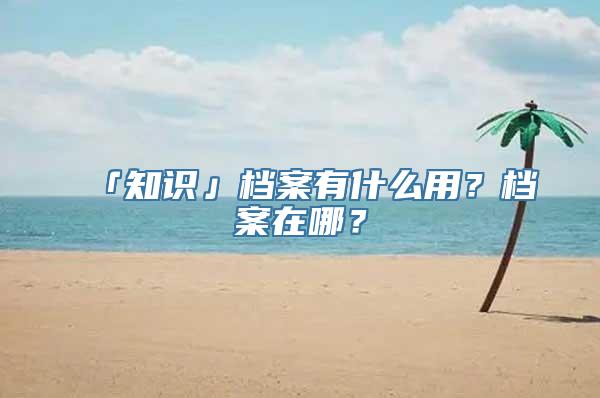 「知识」档案有什么用？档案在哪？