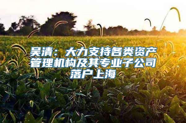 吴清：大力支持各类资产管理机构及其专业子公司落户上海