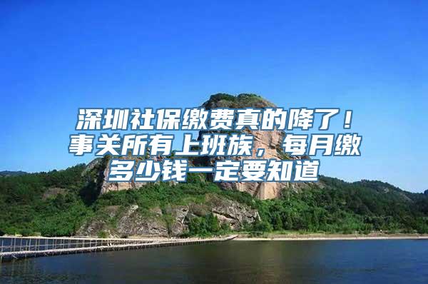 深圳社保缴费真的降了！事关所有上班族，每月缴多少钱一定要知道