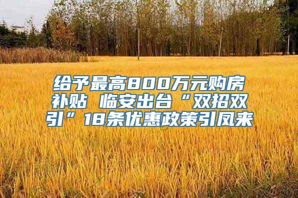 给予最高800万元购房补贴 临安出台“双招双引”18条优惠政策引凤来