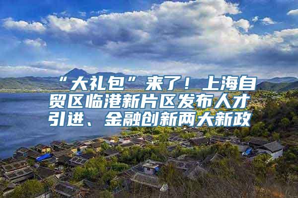 “大礼包”来了！上海自贸区临港新片区发布人才引进、金融创新两大新政