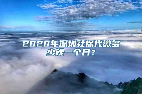 2020年深圳社保代缴多少钱一个月？