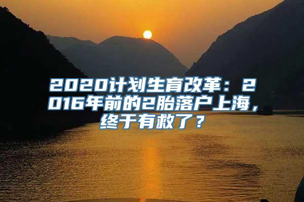 2020计划生育改革：2016年前的2胎落户上海，终于有救了？