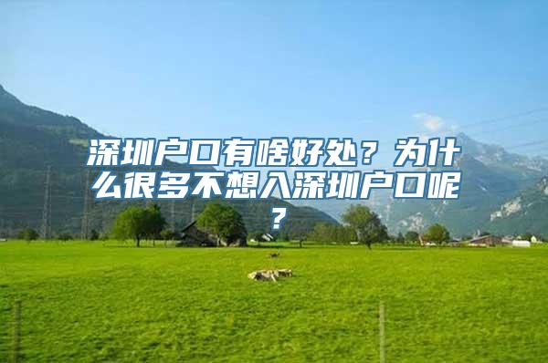 深圳户口有啥好处？为什么很多不想入深圳户口呢？