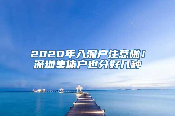 2020年入深户注意啦！深圳集体户也分好几种