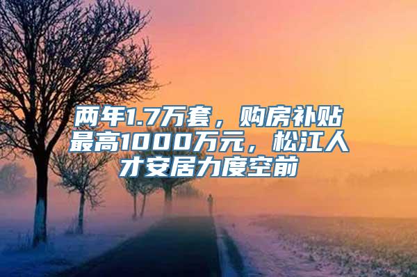 两年1.7万套，购房补贴最高1000万元，松江人才安居力度空前