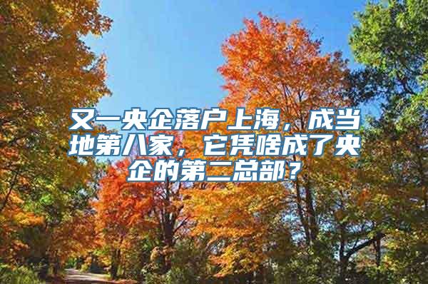 又一央企落户上海，成当地第八家，它凭啥成了央企的第二总部？