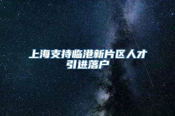 上海支持临港新片区人才引进落户