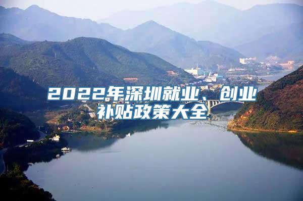 2022年深圳就业、创业补贴政策大全