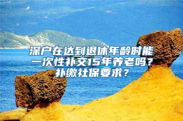 深户在达到退休年龄时能一次性补交15年养老吗？补缴社保要求？