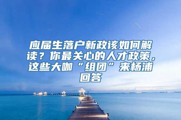 应届生落户新政该如何解读？你最关心的人才政策，这些大咖“组团”来杨浦回答