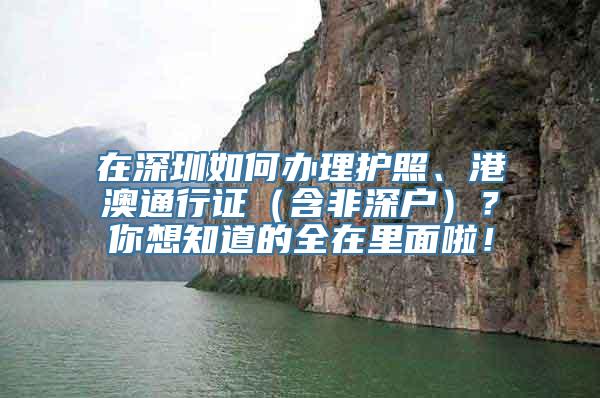 在深圳如何办理护照、港澳通行证（含非深户）？你想知道的全在里面啦！