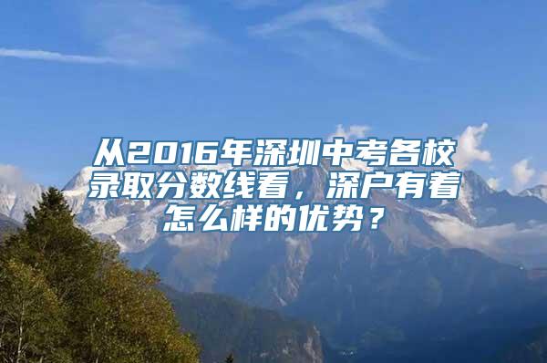 从2016年深圳中考各校录取分数线看，深户有着怎么样的优势？