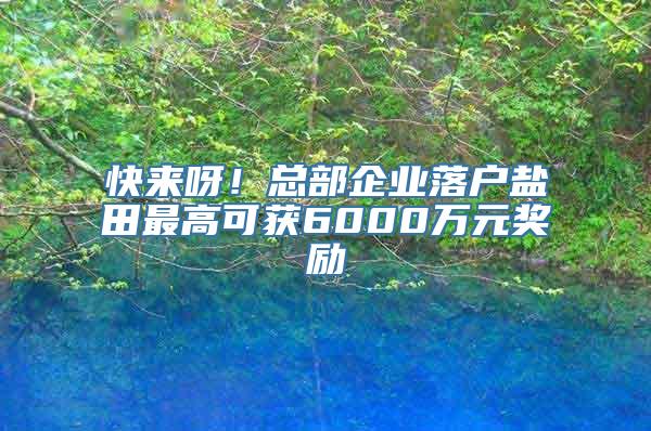 快来呀！总部企业落户盐田最高可获6000万元奖励