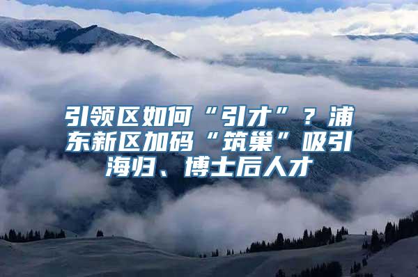 引领区如何“引才”？浦东新区加码“筑巢”吸引海归、博士后人才