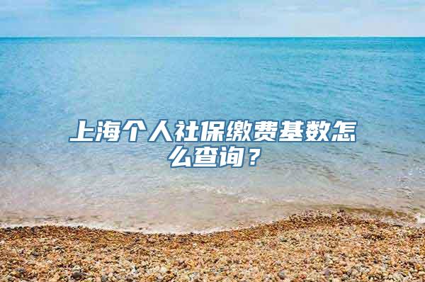 上海个人社保缴费基数怎么查询？