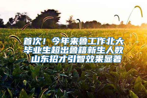 首次！今年来鲁工作北大毕业生超出鲁籍新生人数 山东招才引智效果显著