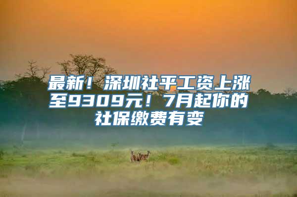 最新！深圳社平工资上涨至9309元！7月起你的社保缴费有变