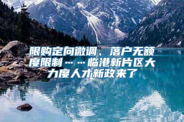 限购定向微调、落户无额度限制……临港新片区大力度人才新政来了