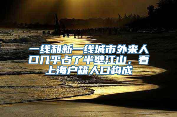 一线和新一线城市外来人口几乎占了半壁江山，看上海户籍人口构成