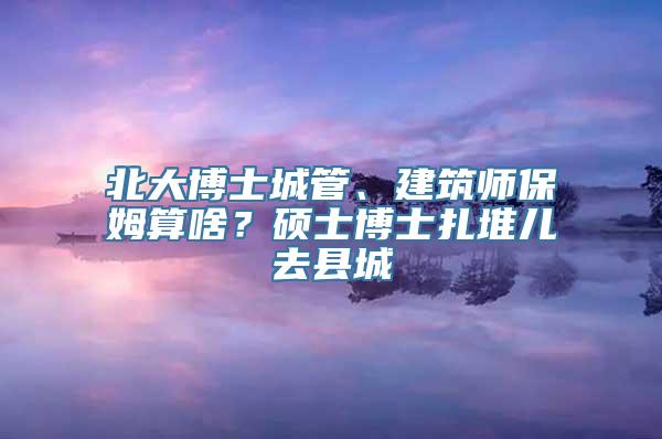 北大博士城管、建筑师保姆算啥？硕士博士扎堆儿去县城