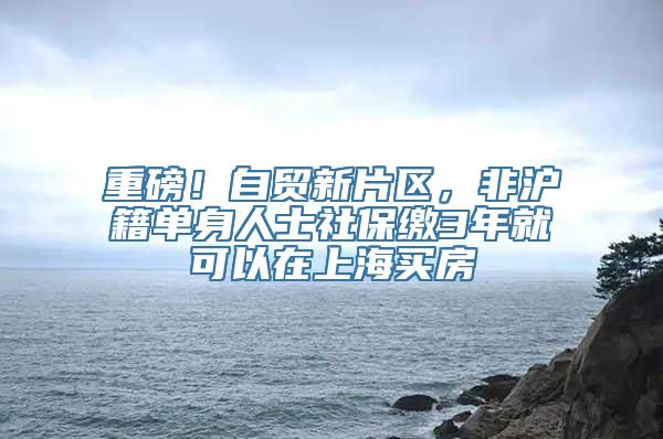 重磅！自贸新片区，非沪籍单身人士社保缴3年就可以在上海买房