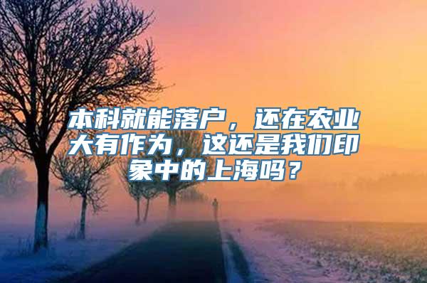 本科就能落户，还在农业大有作为，这还是我们印象中的上海吗？