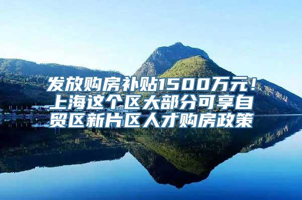 发放购房补贴1500万元！上海这个区大部分可享自贸区新片区人才购房政策