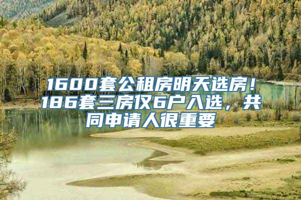 1600套公租房明天选房！186套三房仅6户入选，共同申请人很重要