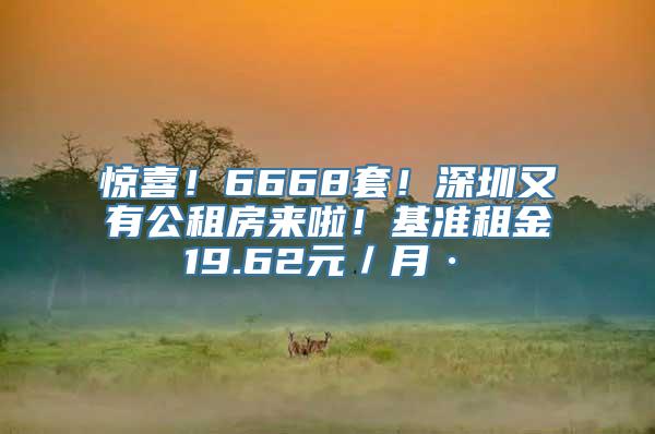 惊喜！6668套！深圳又有公租房来啦！基准租金19.62元／月·㎡