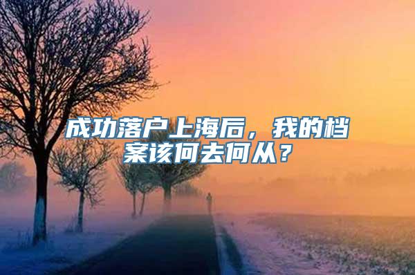 成功落户上海后，我的档案该何去何从？