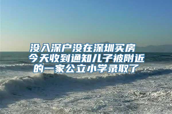 没入深户没在深圳买房 今天收到通知儿子被附近的一家公立小学录取了