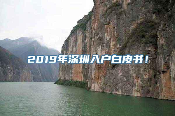 2019年深圳入户白皮书！