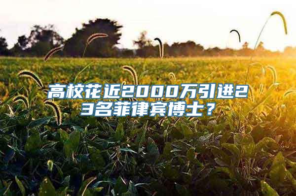 高校花近2000万引进23名菲律宾博士？