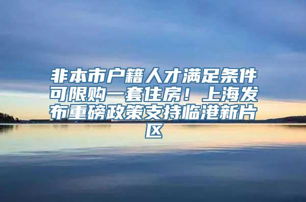 非本市户籍人才满足条件可限购一套住房！上海发布重磅政策支持临港新片区