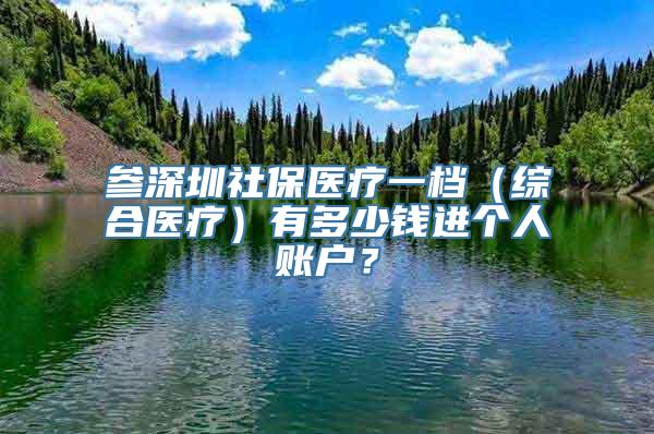 参深圳社保医疗一档（综合医疗）有多少钱进个人账户？