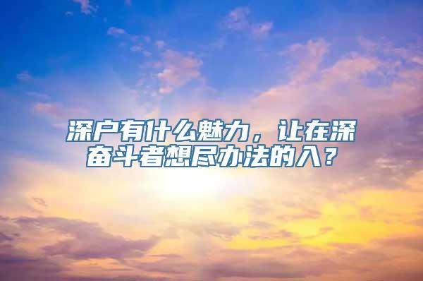 深户有什么魅力，让在深奋斗者想尽办法的入？