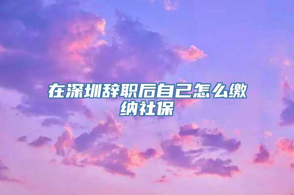 在深圳辞职后自己怎么缴纳社保